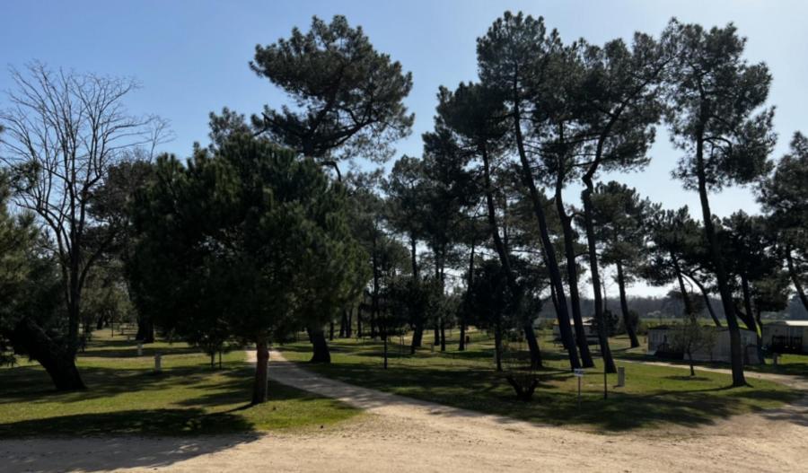 Camping La Maltournee Sigloy Exterior foto